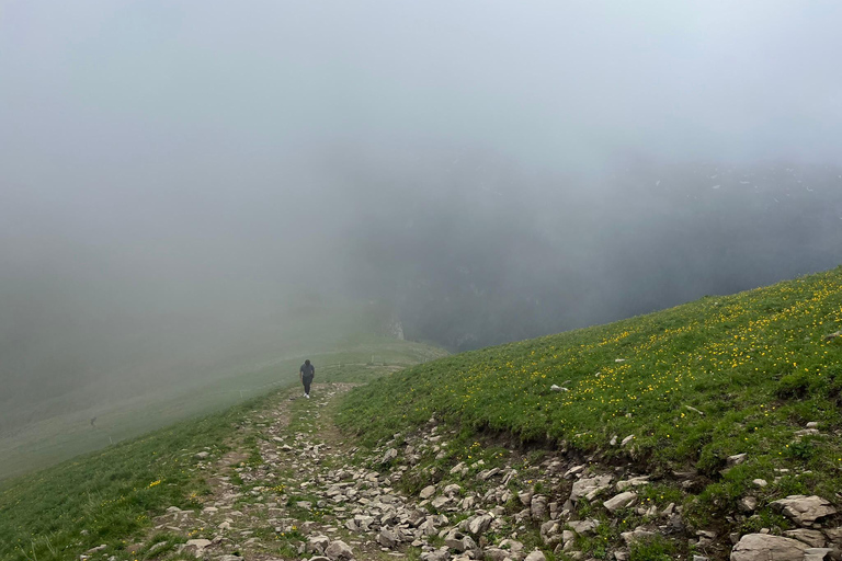 Lucerna: excursión guiada por la cresta de Stoos con trayecto en teleférico