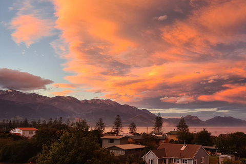 From Christchurch: Kaikōura Day Tour with 30 minute Flight