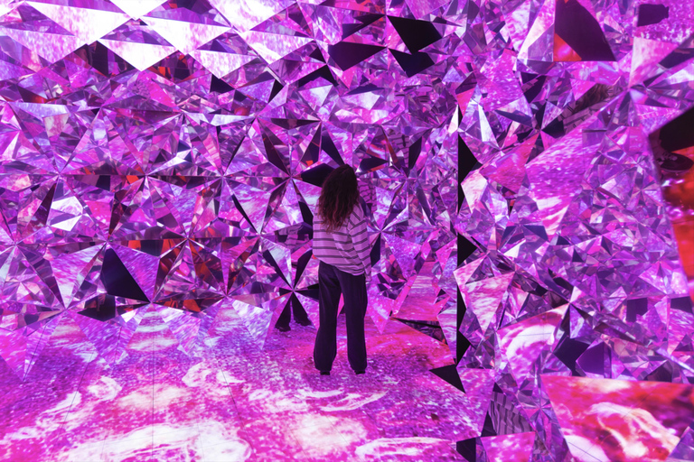 Porto: Wondersense Museum admission ticket Porto: Wondersense - The Museum of the 5 Senses