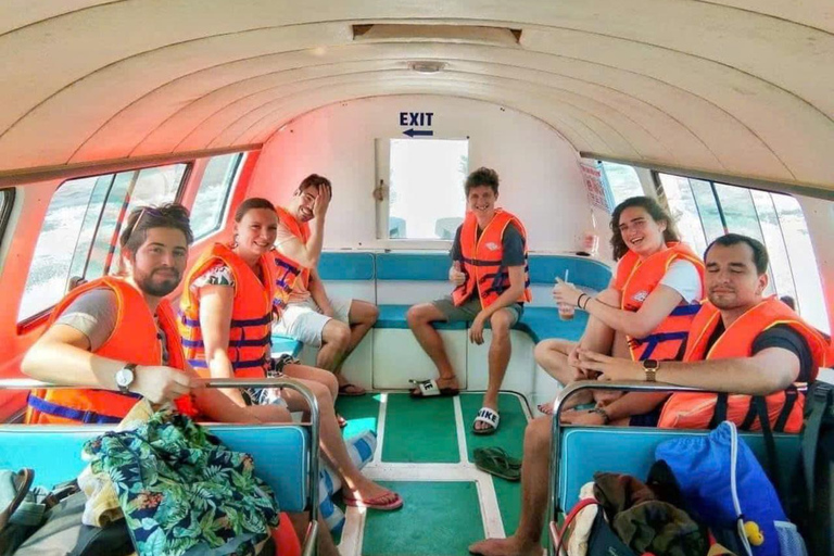 Excursão de mergulho ou snorkeling na Ilha Cham a partir de Da Nang/Hoi AnTour particular e opção de mergulho