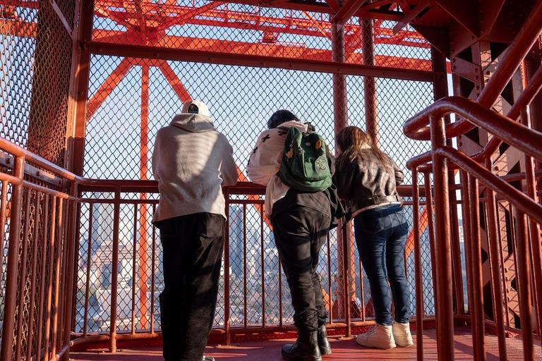 Tokyo: 1-dagars höjdpunkter med privat bil och guide