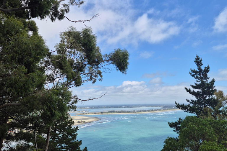 Christchurch Private Scenic Highlights Tour with Local Guide