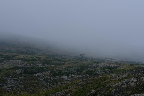 Aberdare National Park: Mount Satima Overnight Hike