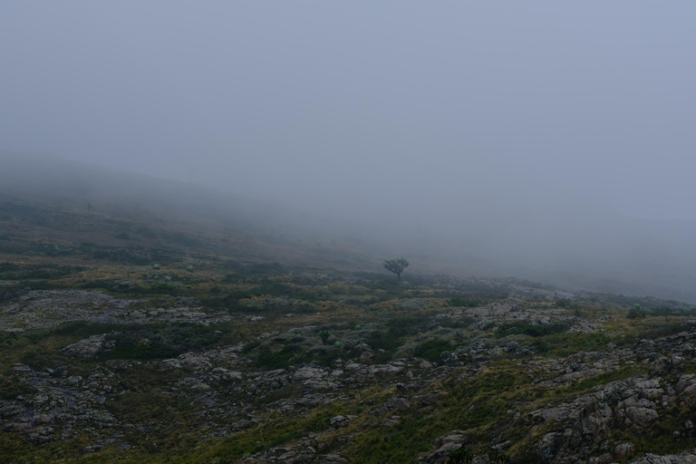 Aberdare National Park: Mount Satima Overnight Hike