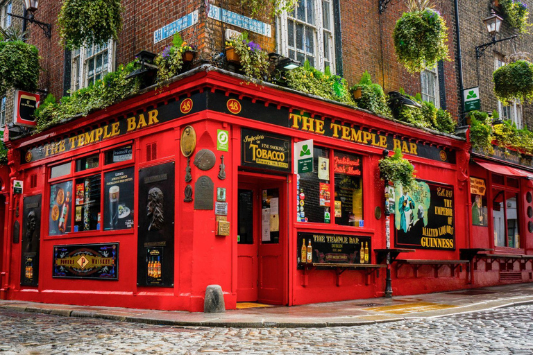 Best of Dublin: Private Walking Tour with a Local Private City Walking Tour - 6Hr