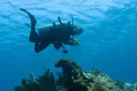 Puerto Vallarta : Plongée sous-marine à Los Arcos