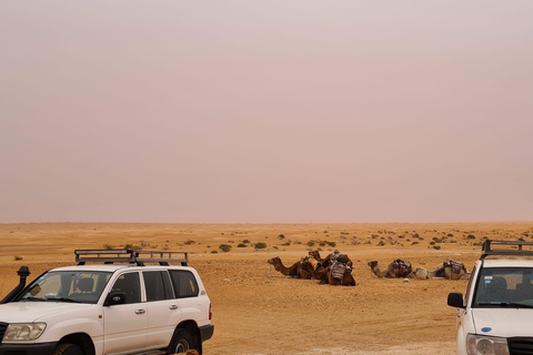 Dos días y una noche en un campamento, Ksar Ghilane desde Djerba