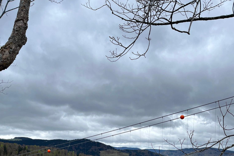 Vanuit Bazel: privé-excursie naar het Zwarte Woud, watervallen en meren