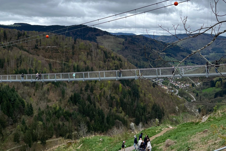 Vanuit Bazel: privé-excursie naar het Zwarte Woud, watervallen en meren