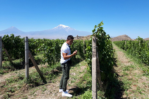 Excursión privada de medio día a Khor VirapVisita privada sin guía