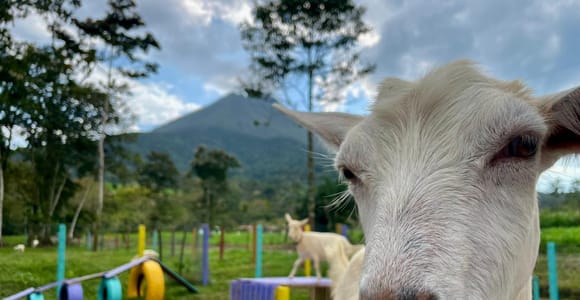 La Fortuna: Farmer for a Day Experience