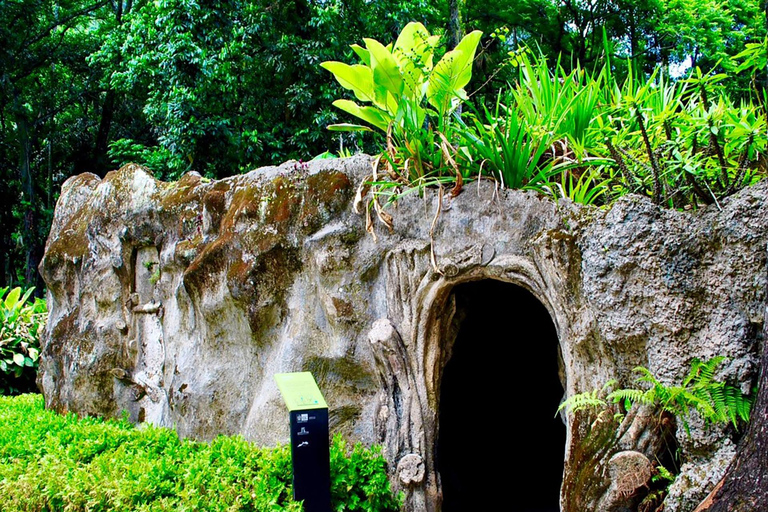 Tour guidato del Giardino Botanico e del Parco Lage nel cuore di Rio