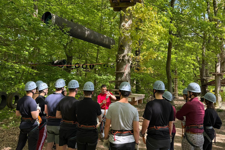 Kelkheim: Outdoor climbing experience in the forest ropes course with circuit and zip lines