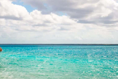 Bacalar: Swimming in a Cenote and a Lagoon with Crystal-Clear Waters Bacalar: Swimming in a cenote and a lagoon with crystal-clear waters