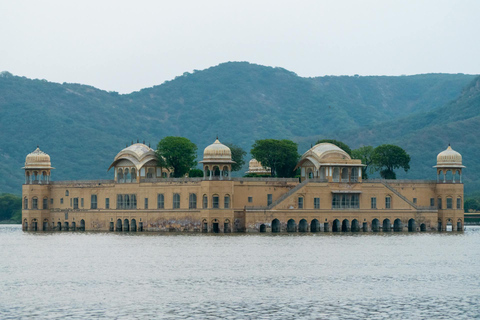 Jaipur: Privé sightseeingtour van een hele dag