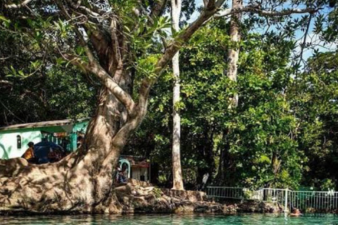 Tour of the Isthmus of Tehuantepec: Its markets and its natural pool