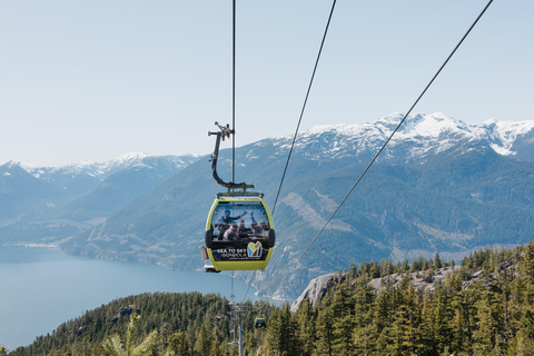 Limited Small Group Tour: Shannon Falls & Sea to Sky Gondola