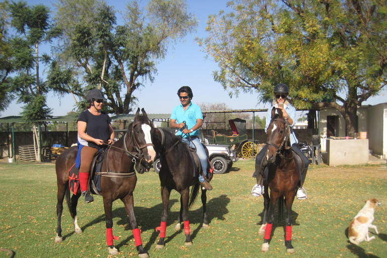 Avventura a cavallo a Jaipur