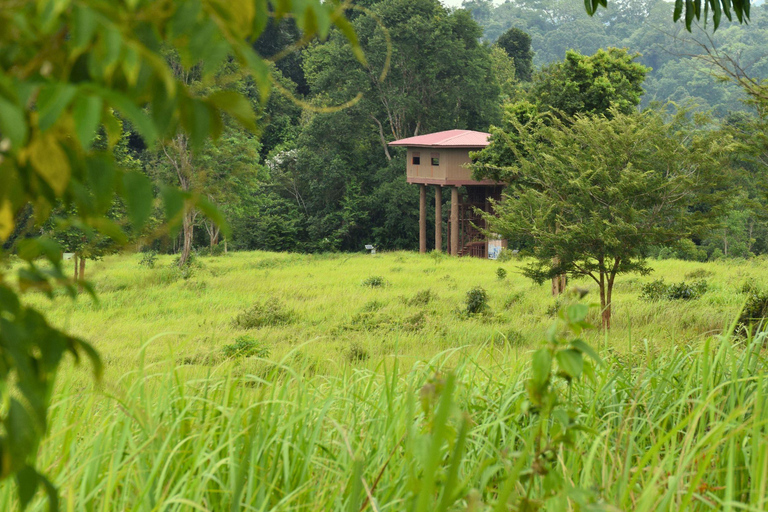 البرية: جولة مشي لمسافات طويلة ومشاهدة النجوم في خاو ياي لمدة يومينجولة المجموعات الصغيرة