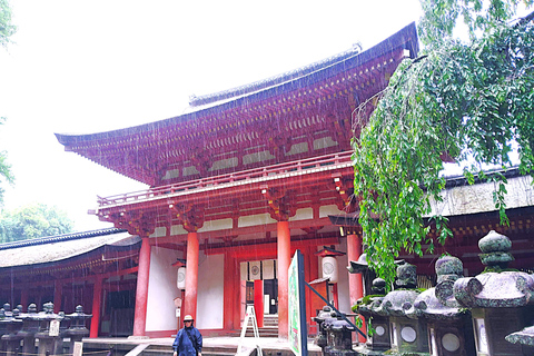 奈良：雾霭中与鹿共行的神圣晨间漫步奈良：雾中与鹿共行的神圣晨间漫步