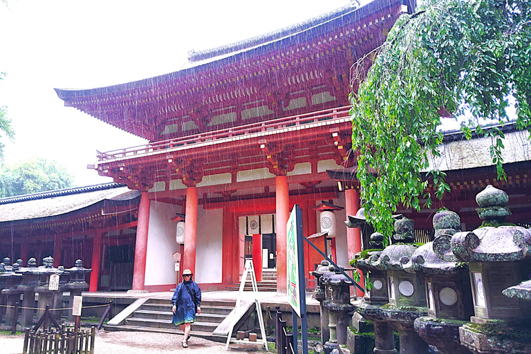 奈良：雾霭中与鹿共行的神圣晨间漫步奈良：雾中与鹿共行的神圣晨间漫步