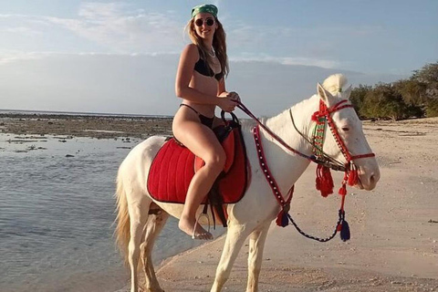 Gili Islands: Horseback Ride on the Beach