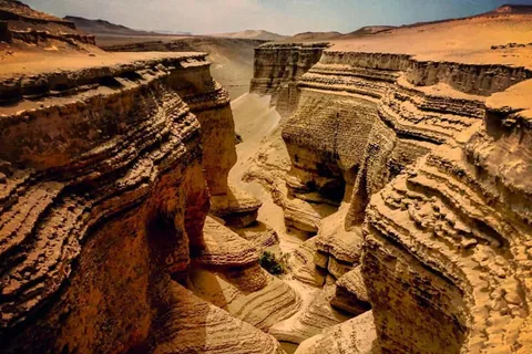 Depuis Ica : Excursion au Cañón de los Perdidos (Canyon des Perdus)