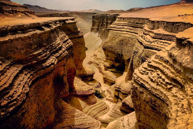 Desde Ica: Excursión al Cañón de los Perdidos