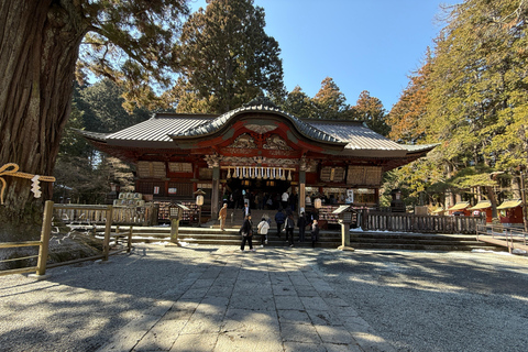 Tokyo: Mt Fuji A Journey Through Nature, History & Culture Tokyo: Mt Fuji A Journey Through Nature, History, & Culture
