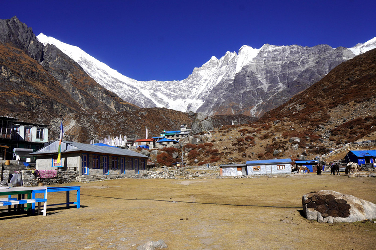 Trek dans la vallée du Langtang