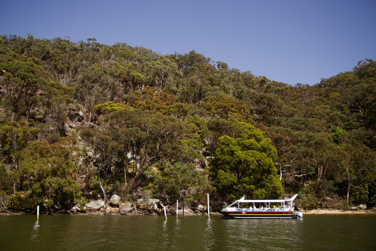 Mooney Mooney: Pärl- och ostronodling Hawkesbury River Cruise