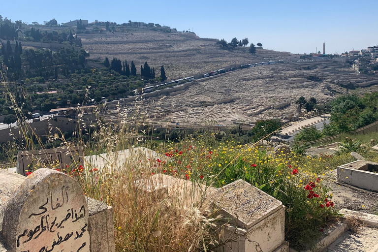 Jerusalem: Old City 3 Hours Circle Walking TourJerusalem: Old City 3 Hours Private Circle Walking Tour