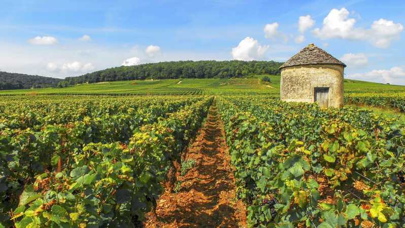 Excursie van PARIJS naar BEAUNE: de wijngaarden van Bourgondië