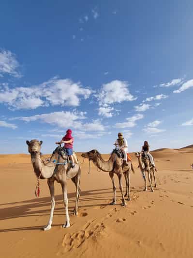 4 jours de Marrakech au Sahara, Atlas et trek aux doigts de singe - dromadaire
