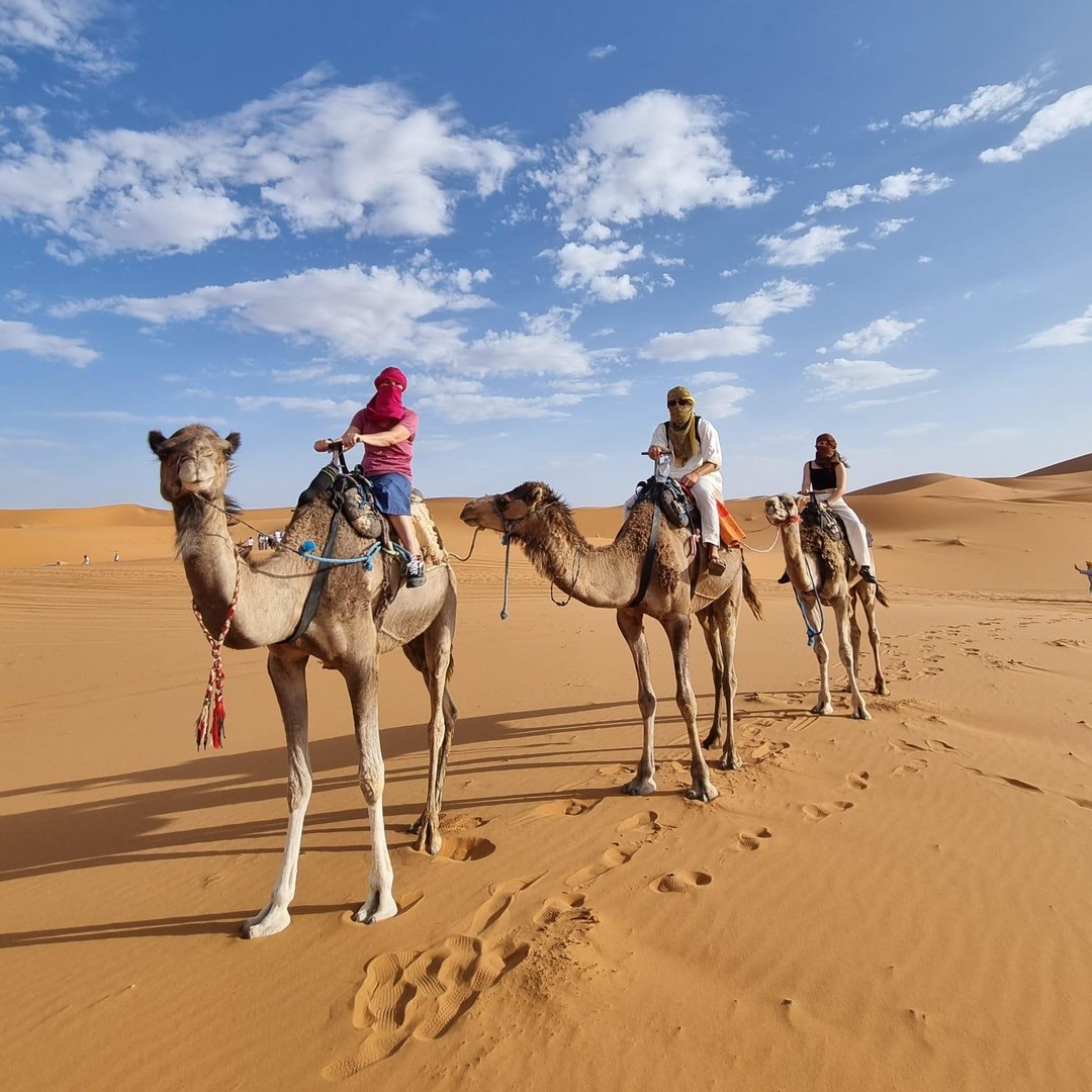 4 jours de Marrakech au Sahara, Atlas et trek aux doigts de singe - dromadaire