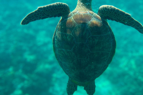 Mascate: Excursión de snorkel por las Islas Daymaniyat con refrescosMascate: Experiencia de bienestar Daymaniyat (puesta de sol)