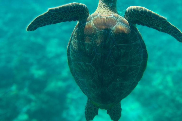 Muscat: Daymaniyat-eilanden snorkeltour met versnaperingen