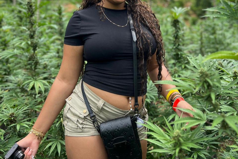 Marijuana Farm Tour From Falmouth/ Trelawny