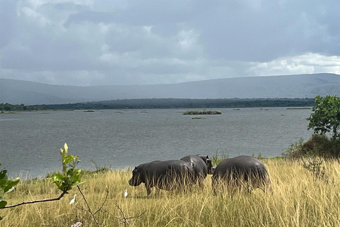 Recorrido de caza de los 5 Grandes y acampada en el pico más alto de Akagera