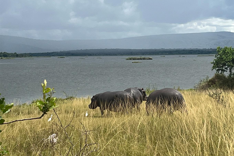 De Kigali: 1 dia de Safari em Akagera e passeio de barco. Tudo incluído