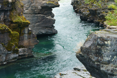 Da Kiruna: esplora Abisko di giorno
