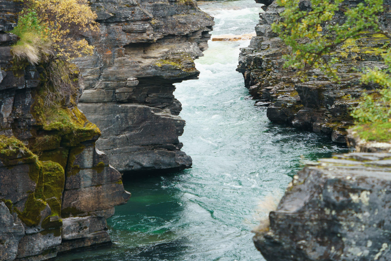 Da Kiruna: esplora Abisko di giorno