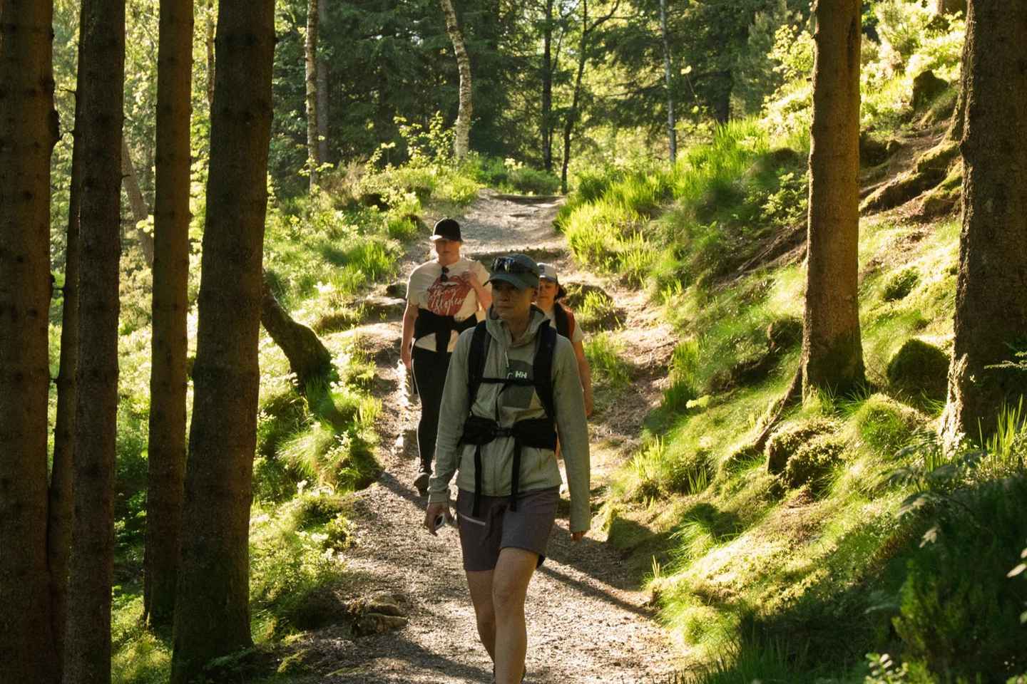 Bergen: Guided mountain hike on top of Bergen