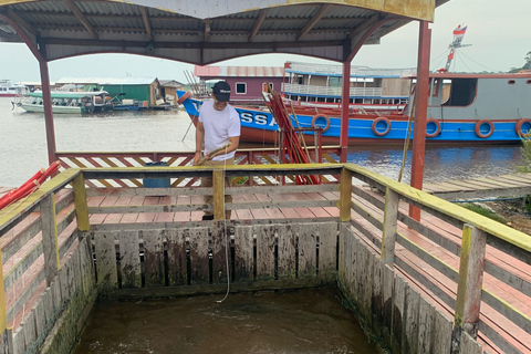 Manaus: Meeting of the Waters Private Bootstour
