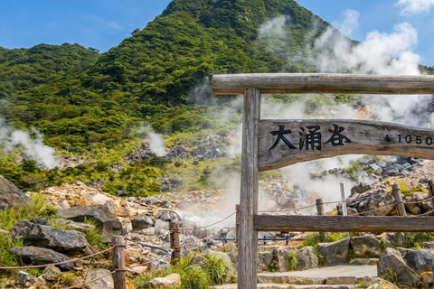 Tokyo: Mt Fuji & Hakone Ropeway, Lake Ashi Cruise,Owakudani Excludes Pirate Ship | Tokyo 7:30AM