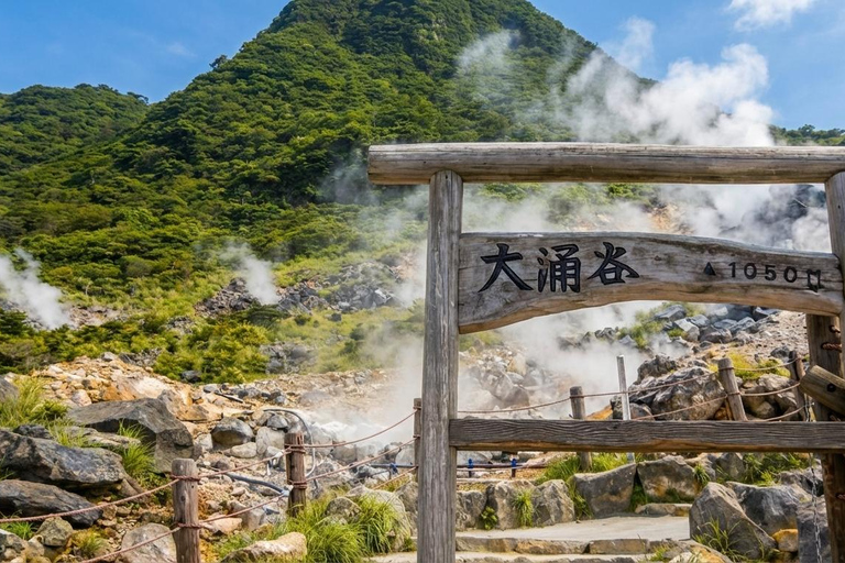 Tokyo: Mt Fuji & Hakone Ropeway, Lake Ashi Cruise,Owakudani Excludes Pirate Ship | Tokyo 7:30AM