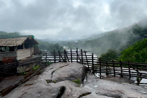 Kochi: Athirappilly Waterfalls Overnight Tour with Transfer