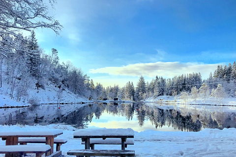 Aventura de inverno - Caminhadas na neve