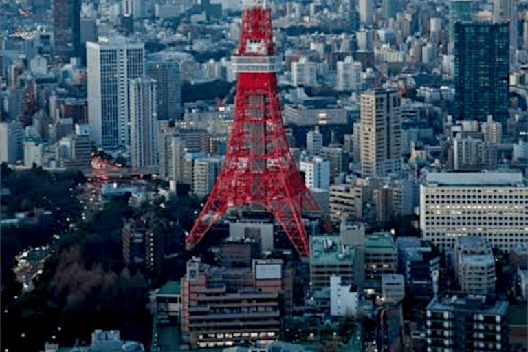 2 Dagen Tokio, Mount Fuji Reis Privé Rondleiding