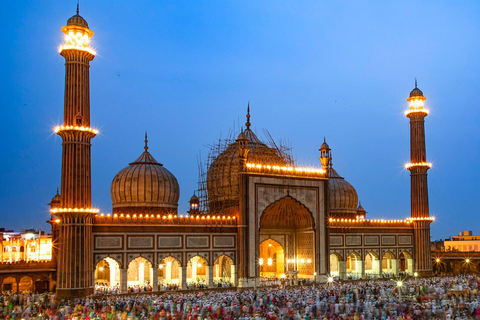 From Delhi: Golden Triangle & Ranthambore Tiger Safari Tour Only Tour Guide Services